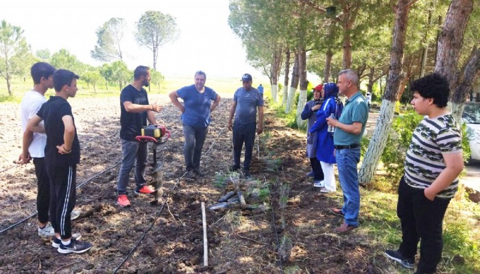 YENİÇİFTLİK OKULU BAHÇESİNE 1000 ADET LAVANTA DİKİLDİ