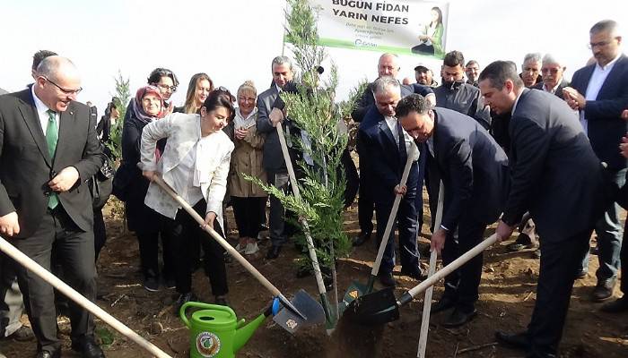 Çanakkale'de 205 bin fidan toprakla buluşturuldu