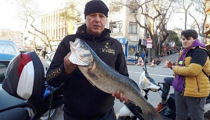 AMATÖR BALIKÇI, 6 KİLO 380 GRAM AĞIRLIĞINDA LEVREK AVLADI