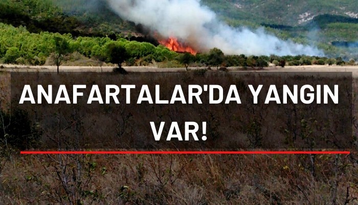 Anafartalar'da yangın var!