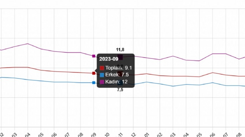 Mevsim Etkisinden Arındırılmış İşsizlik Oranı Yüzde 8,6 Seviyesinde Gerçekleşti