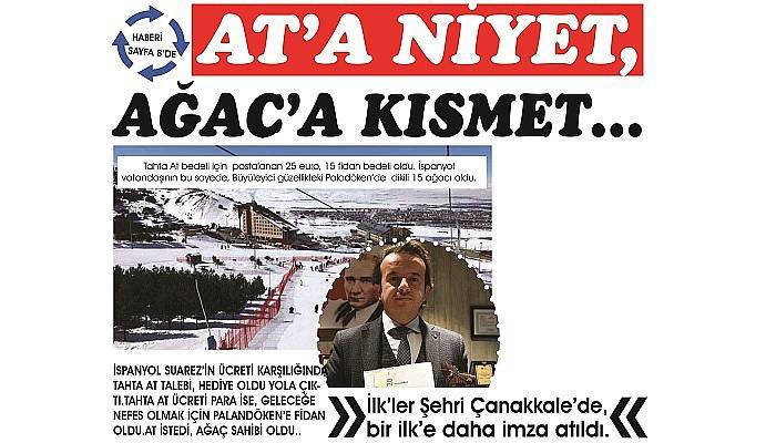 AT’A NİYET, AĞAÇ’A KISMET…