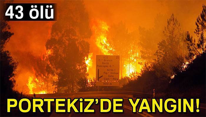 Portekiz’de orman yangını: 43 ölü