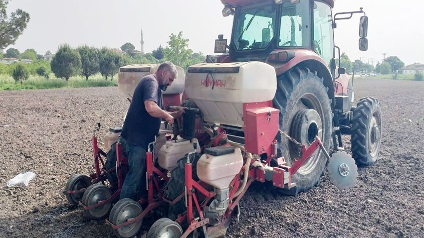 Kuraklıkta Biga’da Ayçiçek Veriminde Umut Veren Başarı