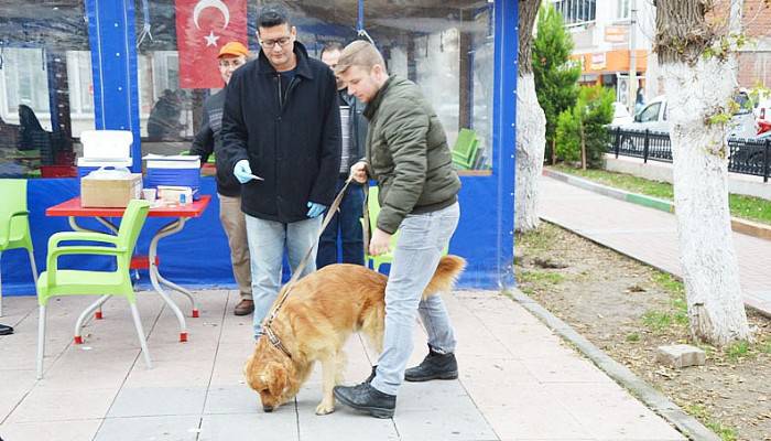 SOKAK HAYVANLARINA KUDUZ AŞISI YAPILDI