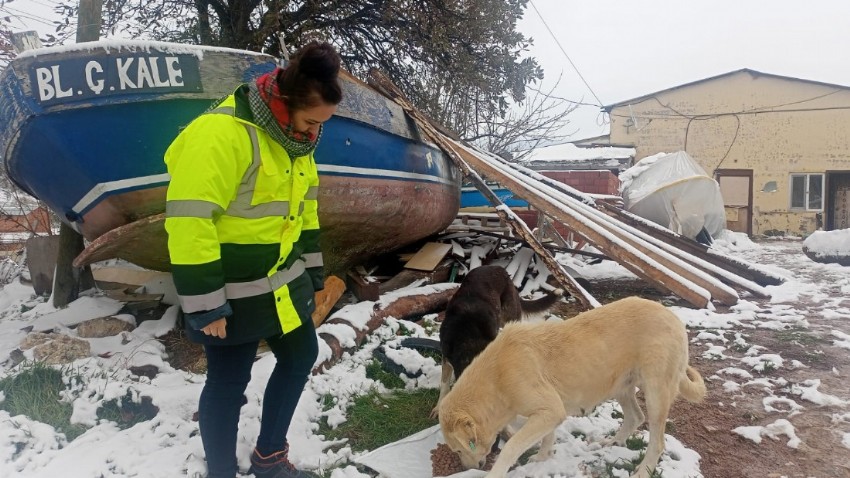 Soğuk Havada Can Dostlara Mama Desteği