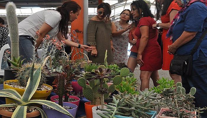 Hobi olarak başladı, kaktüs yetiştirerek ev ekonomisine katkı sağlıyor