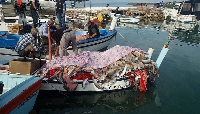 Saros Körfezi'nde 1,5 ton kefal yakaladı