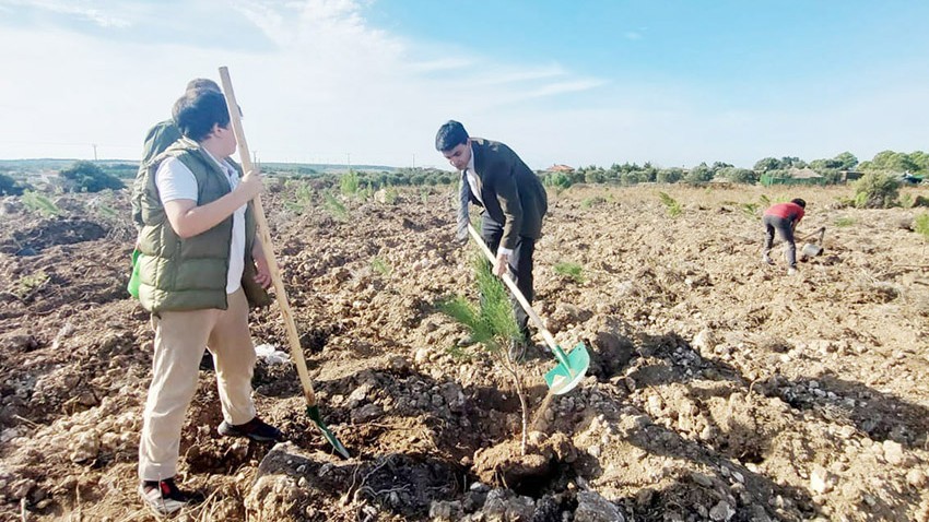 Bozcaada Kaymakamlığı, Yangınlardan Zarar Gören Adanın Yeniden Yeşillendirilmesi İçin Kampanya Başlattı