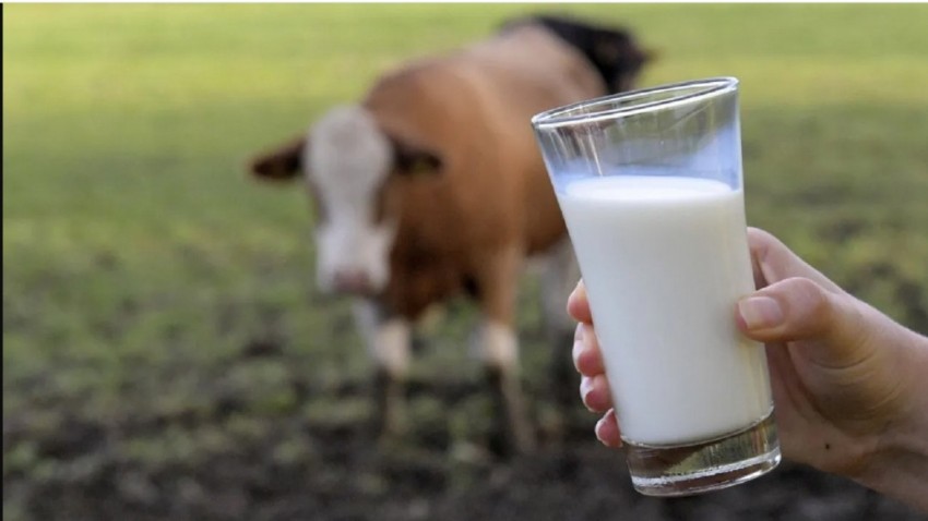 Ticari Süt Üretiminde Büyük Artış