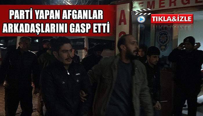 Parti yapan Afganlar arkadaşlarını gasp etti