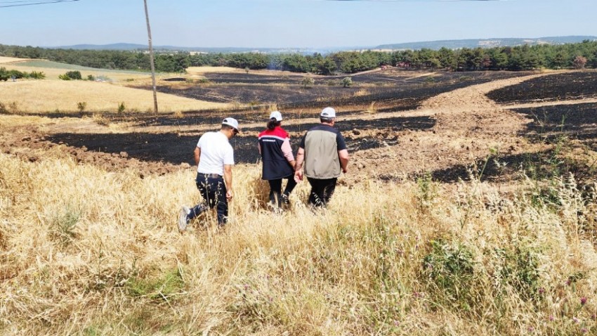  Nazan Türkarslan Ön Hasar Tespiti İçin Yangın Bölgesini Ziyaret Etti