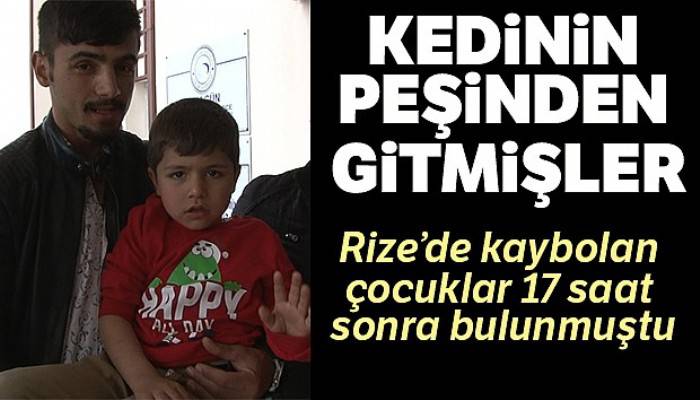 Kedinin peşinden gitmişler