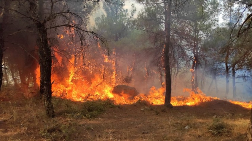 Keşan'da Çıkan Yangına Çanakkale'den Destek