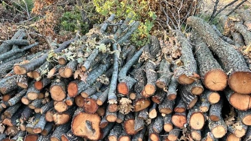 Biga’da Kış Hazırlıkları Başladı: Köylüler Yakacak Temininde Yoğun