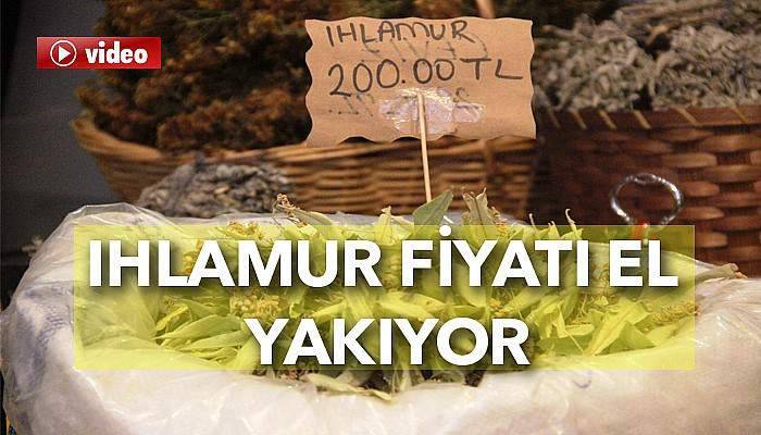  Ihlamur boğaz değil, el yakıyor