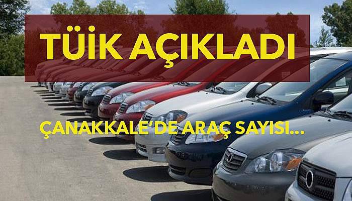 TÜİK rakamları açıkladı 