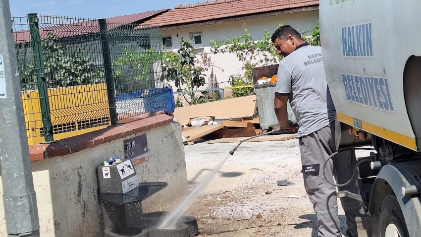 Kepez Belediyesi Temizlik Ekiplerinden Sokak Hayvanlarına Özel Temizlik Seferberliği