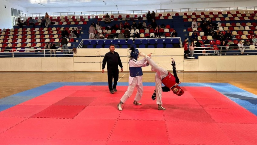 Taekwondo Müsabakaları Gerçekleştirildi