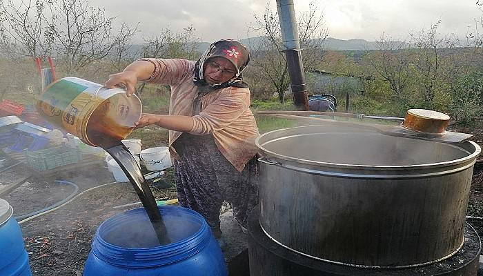 Dolunun vurduğu armutlardan pekmez yaptı