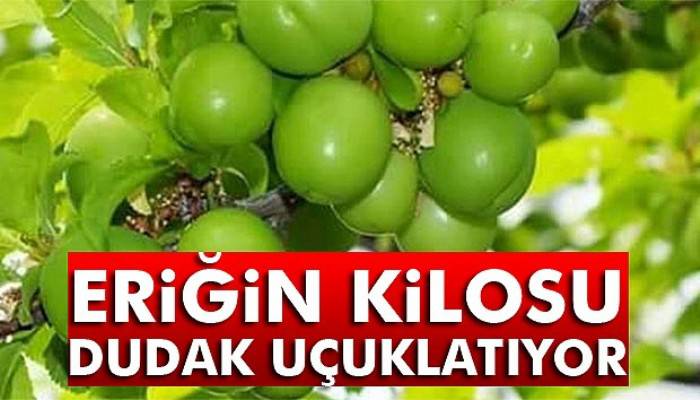  Eriğin kilosu 300 TL