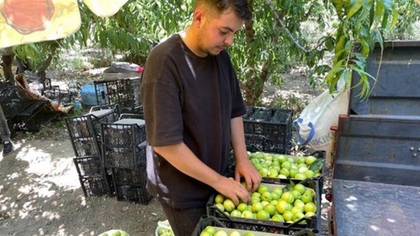 Ailesinden Kalan İşleri Devam Ettirmek İçin Tercihini Ziraattan Yana Kullandı