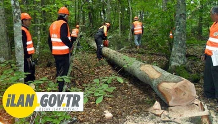 ANAFARTALAR ORMAN İŞLETME MÜDÜRLÜĞÜ DANIŞMANLIK HİZMETİ ALACAK