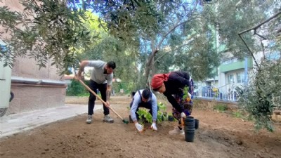 Tarihi Necippaşa Camii'nde Çevre Düzenlemesi Yapıldı