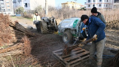 “Meyve Cennetinden dünyaya fidan ihracatı”