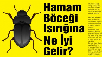 Hamam Böceği Isırığına Ne İyi Gelir?