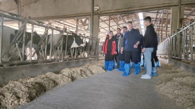 Çanakkale’de Güvenilir Hayvancılık Büyüyor: ‘Hastalıktan Ari’ İşletme Sayısı Artıyor