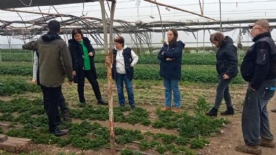 Çanakkale’de yabancı otlarla mücadele başladı