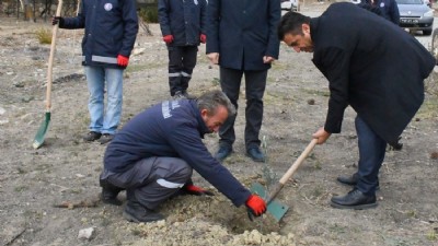 ÇOMÜ’den Ulupınar’da fidan dikimi etkinliği