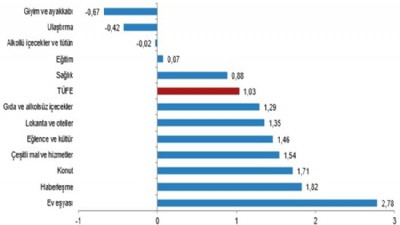  TÜFE yıllık %44,38, aylık %1,03 arttı