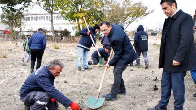 Ulupınar’da fidanlar toprakla buluştu