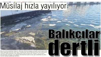 Müsilaj hızla yayılıyor, balıkçılar dertli